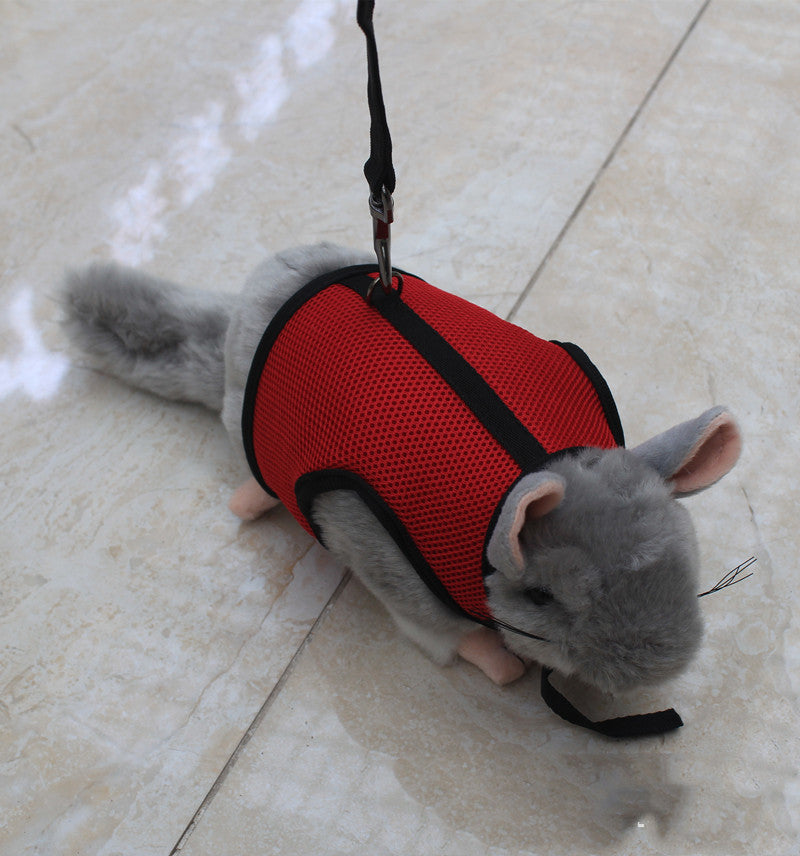 Discover the Small Adjustable Leash With Secure Control Design