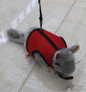 Discover the Small Adjustable Leash With Secure Control Design