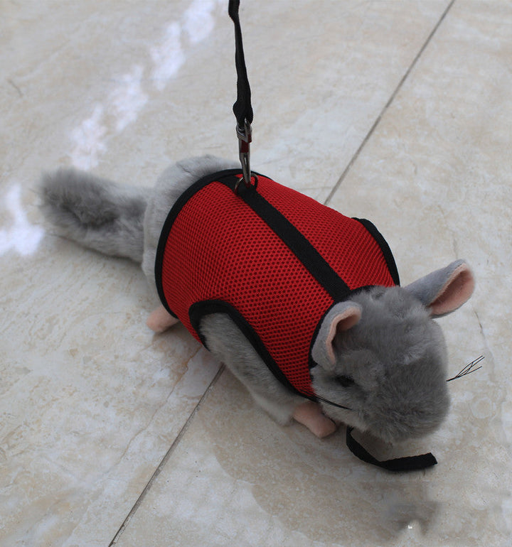 Discover the Small Adjustable Leash With Secure Control Design