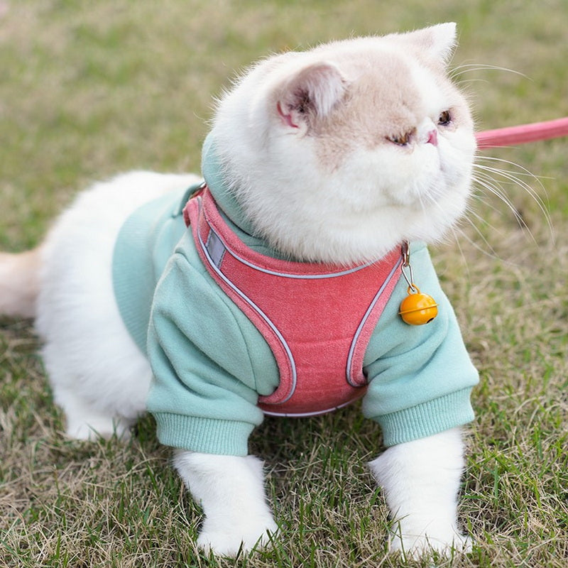 Adjustable Pet Vest Chest Harness With Leash Set: The Ultimate Comfort for Your Furry Friend