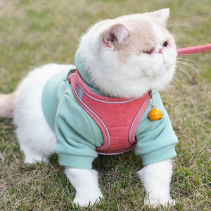 Adjustable Pet Vest Chest Harness With Leash Set: The Ultimate Comfort for Your Furry Friend