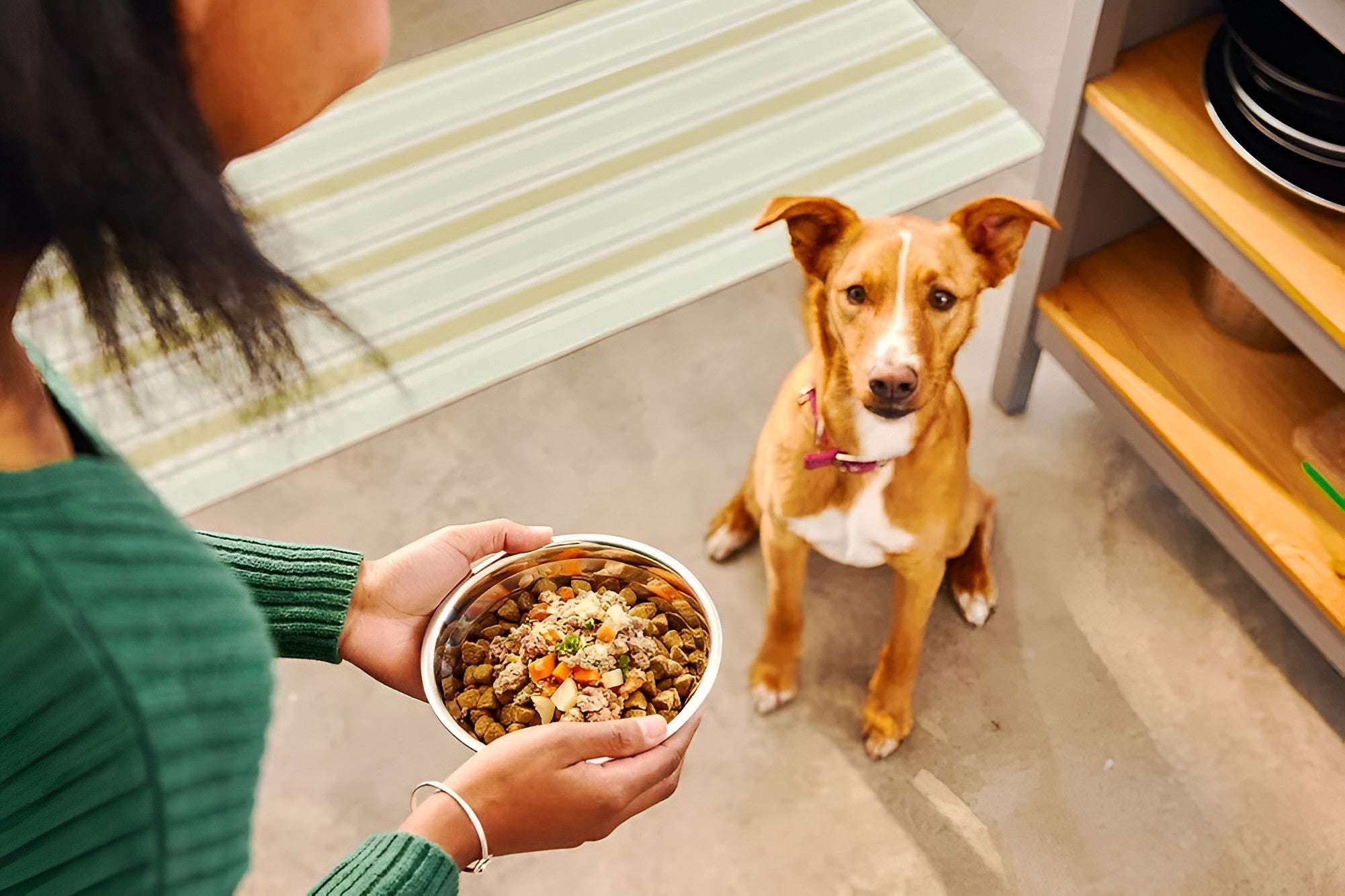BETTER EVERYDAY MEALTIMES